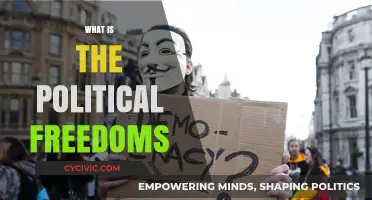 Understanding Political Freedoms: Rights, Liberties, and Democratic Governance Explained