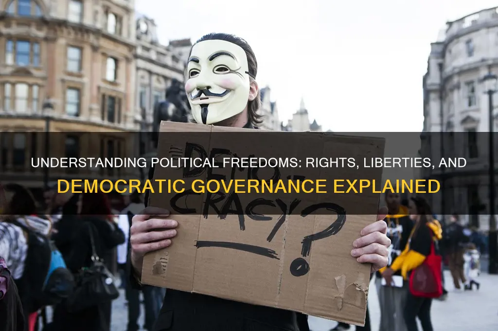 what is the political freedoms