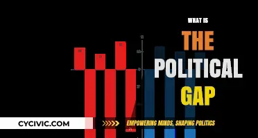 Understanding the Political Gap: Causes, Consequences, and Bridging the Divide
