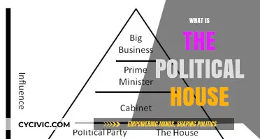 Understanding the Political House: Structure, Power, and Influence Explained