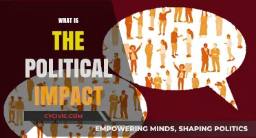 Exploring the Political Impact: Shaping Policies and Societal Change