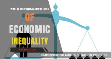 The Political Ramifications of Economic Disparity: A Critical Analysis