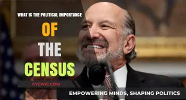 Decoding Democracy: The Political Power of Census Data