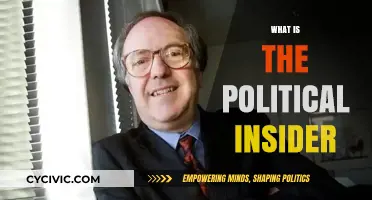 Understanding the Political Insider: Power, Influence, and Behind-the-Scenes Dynamics