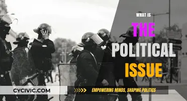 Understanding the Political Issue: Causes, Impact, and Solutions Explained