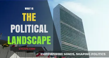Understanding the Complex Political Landscape: Trends, Players, and Dynamics
