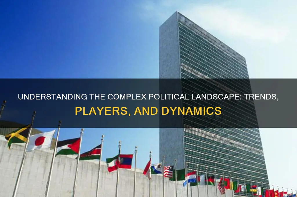 what is the political landscape