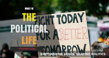 Exploring the Complexities and Realities of Political Life Today