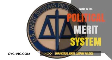 Exploring the Political Merit System: A Path to Effective Governance