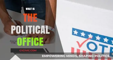 Understanding the Role and Responsibilities of Political Office