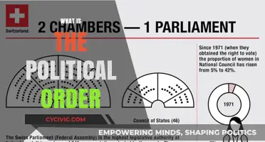 Understanding the Political Order: Structure, Power, and Governance Explained