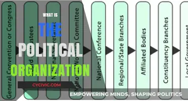 Understanding Political Organization: Structure, Functions, and Global Impact Explained