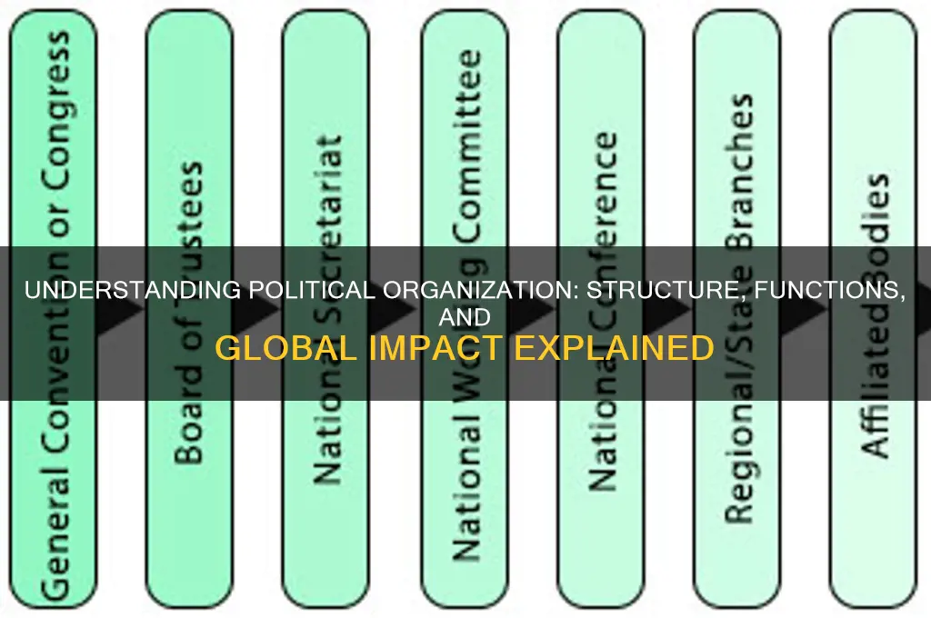 what is the political organization