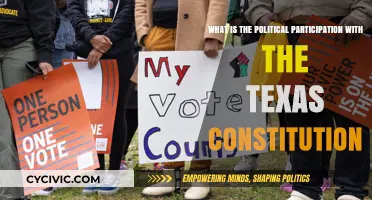 Texas Constitution: Political Participation and Power