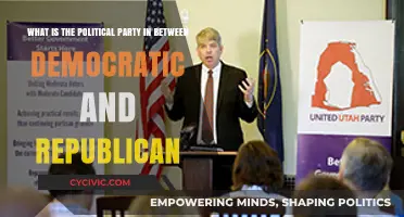 Exploring the Centrist Political Party: Beyond Democrats and Republicans