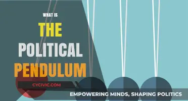 Understanding the Political Pendulum: Shifts, Swings, and Societal Impact