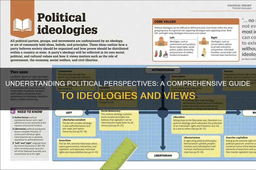 what is the political perspective