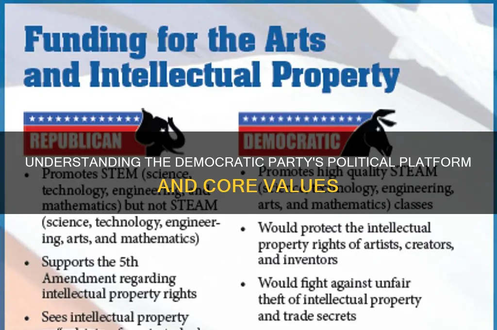 what is the political platform of the democratic party