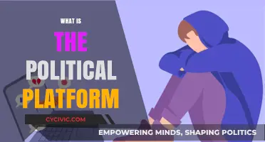 Understanding Political Platforms: Core Principles, Policies, and Voter Engagement