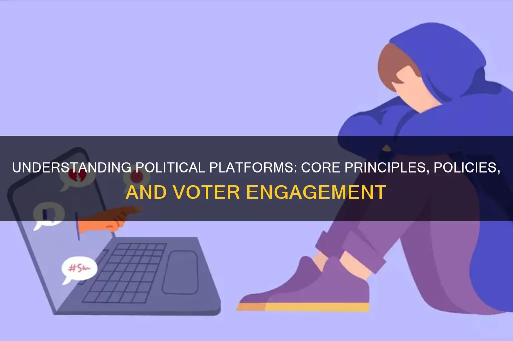 what is the political platform