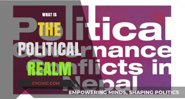 Understanding the Political Realm: Power, Governance, and Societal Influence Explained