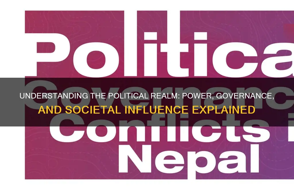 what is the political realm