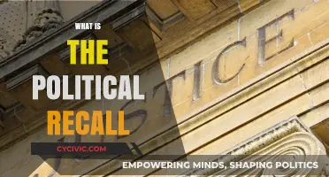 Understanding Political Recall: Process, Power, and Public Accountability Explained