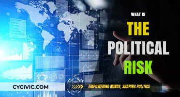 Understanding Political Risk: Impact on Global Business and Investment Strategies