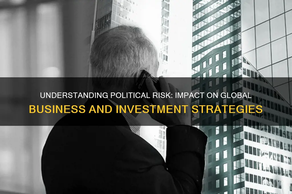 what is the political risk