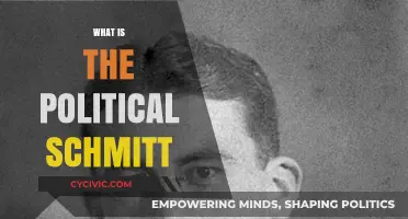 Understanding the Political Schmitt: A Comprehensive Guide to His Philosophy