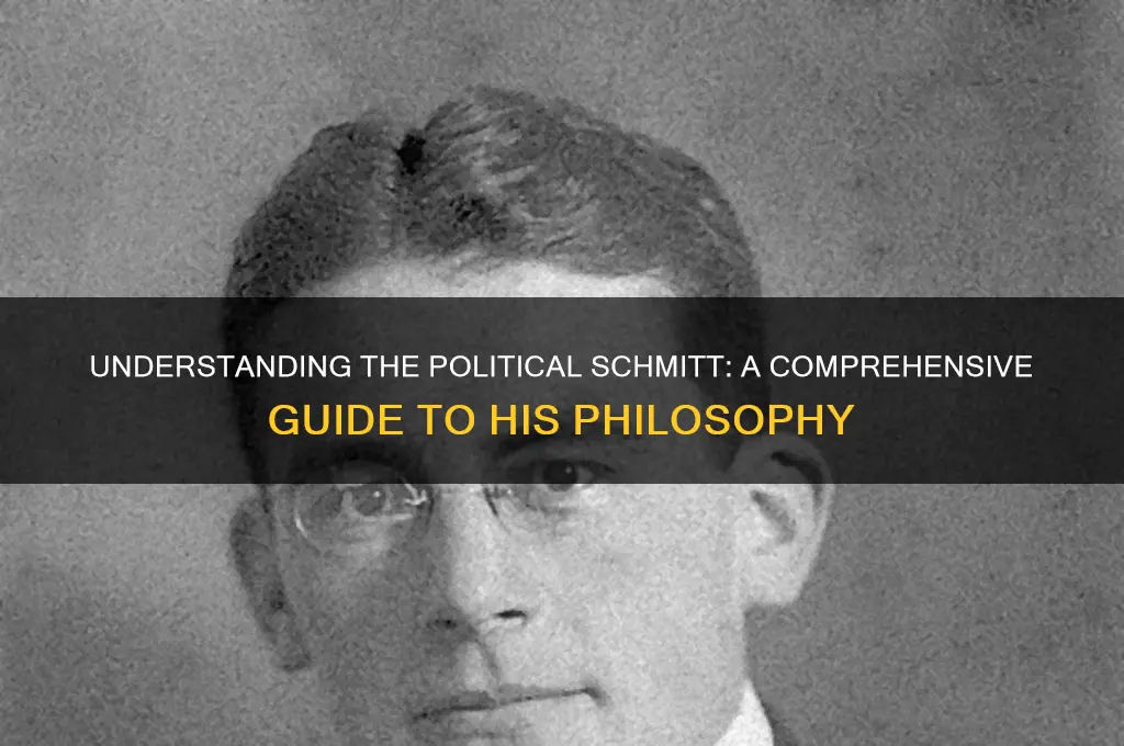 what is the political schmitt