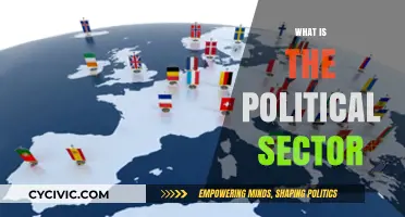Understanding the Political Sector: Roles, Impact, and Key Functions Explained