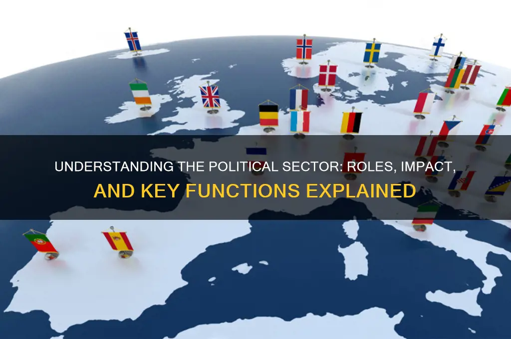 what is the political sector