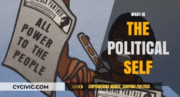 Understanding the Political Self: Identity, Ideology, and Civic Engagement