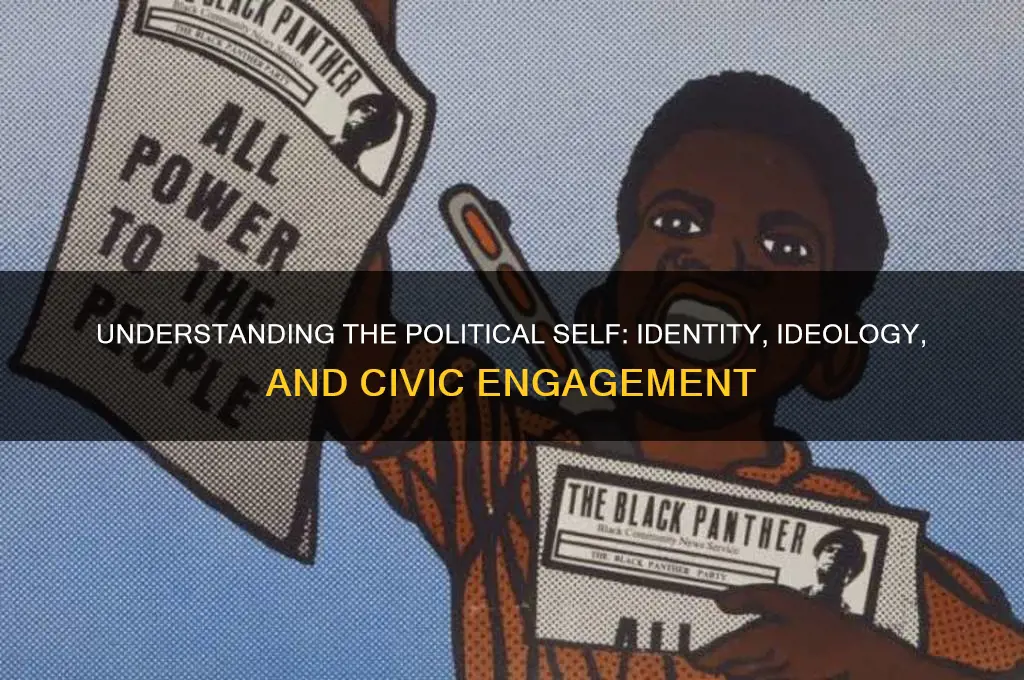 what is the political self