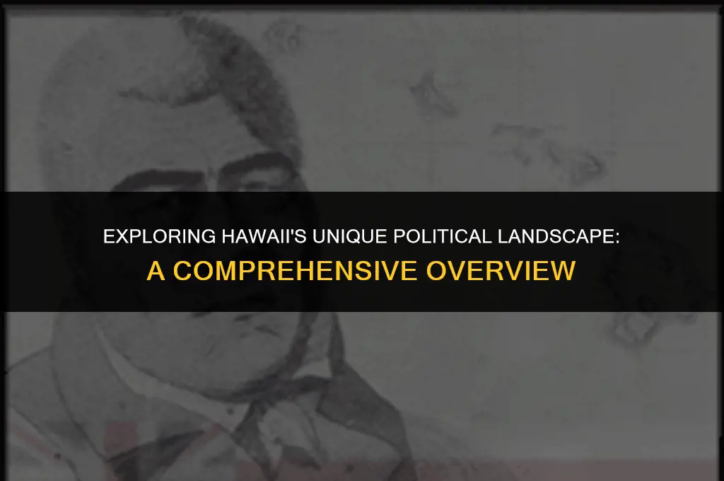 what is the political situation and political system of hawaii