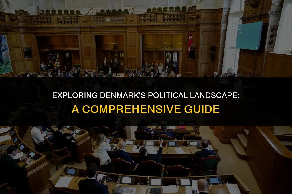 what is the political system in denmark