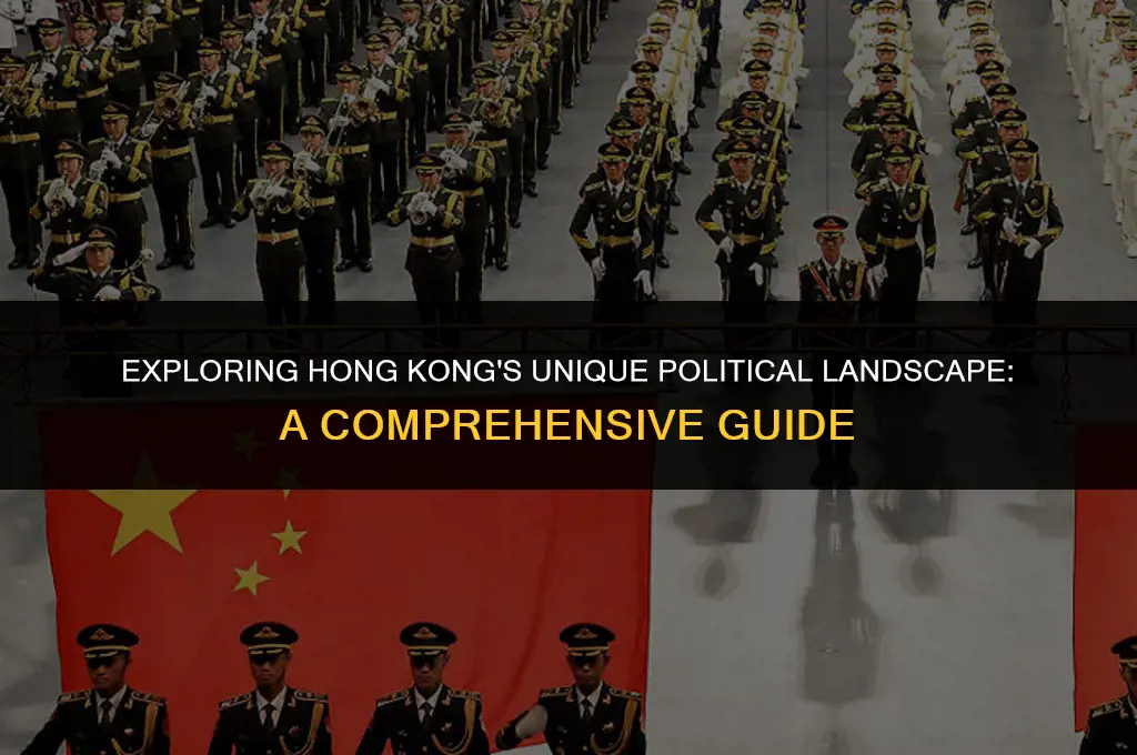 what is the political system in hong kong