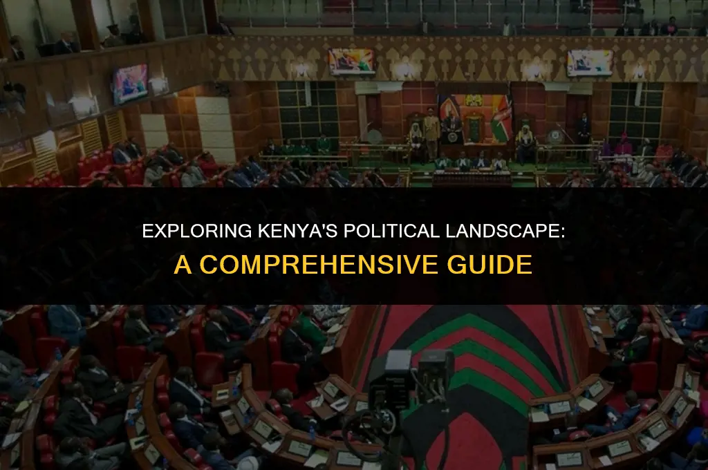 what is the political system in kenya