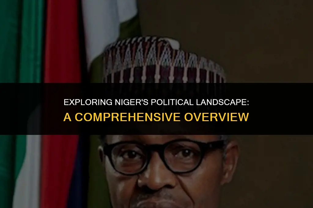 what is the political system in niger
