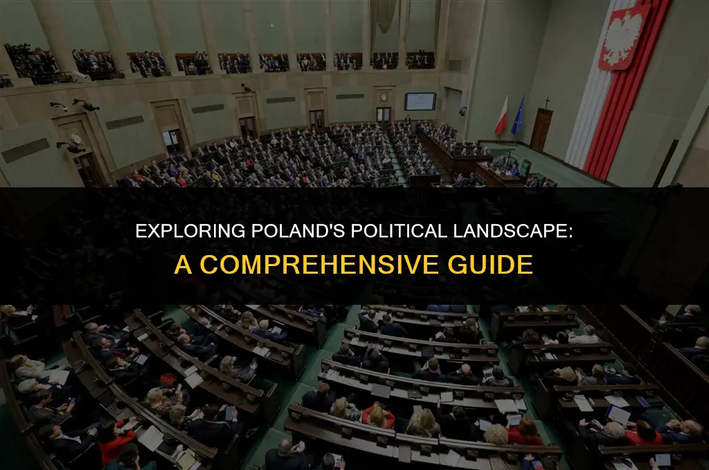 what is the political system in poland