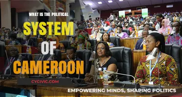 Exploring Cameroon's Political Landscape: A Comprehensive Overview