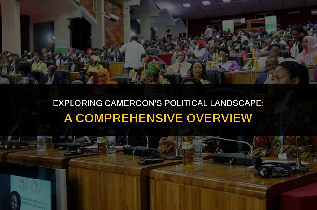 what is the political system of cameroon