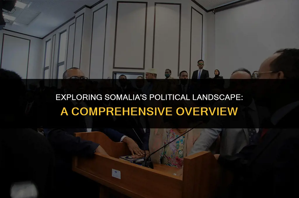 what is the political system of somalia