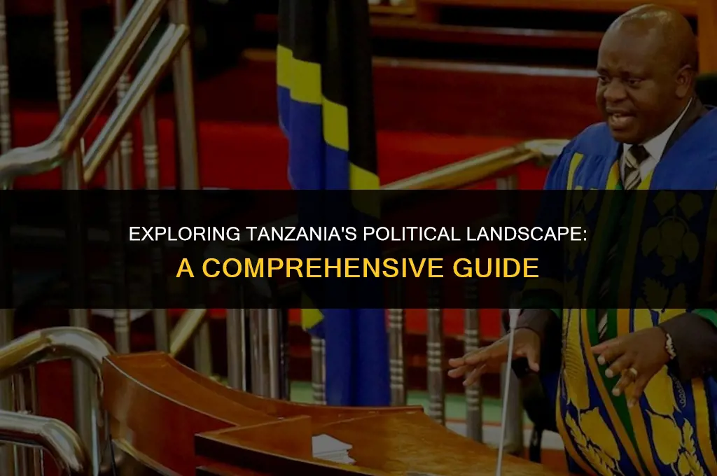 what is the political system of tanzania