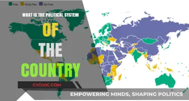 Exploring the Political Landscape: A Deep Dive into [Country]'s System