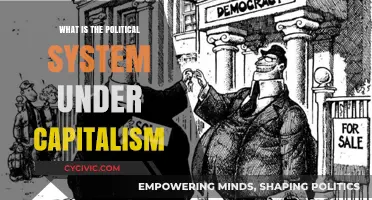Exploring the Political Dynamics of Capitalist Systems