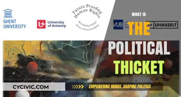 Understanding the Political Thicket: Navigating Complexities in Modern Governance