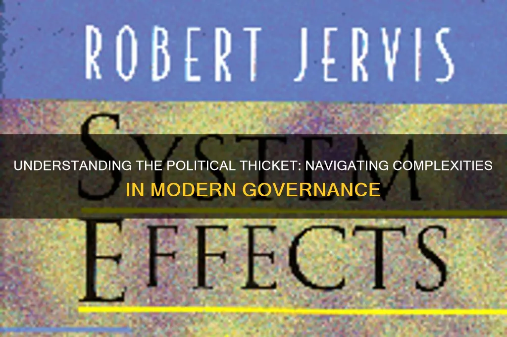 what is the political thicket