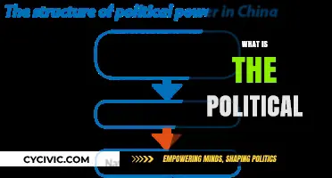 Understanding the Political: Power, Governance, and Societal Structures Explained